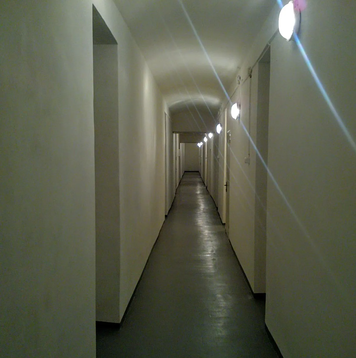Fotka 7 z 15